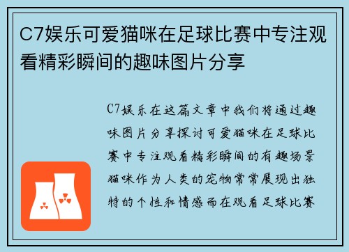 C7娱乐可爱猫咪在足球比赛中专注观看精彩瞬间的趣味图片分享