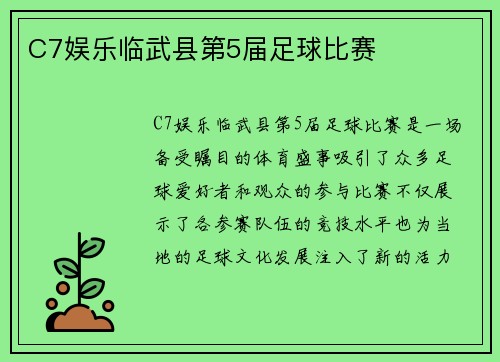C7娱乐临武县第5届足球比赛
